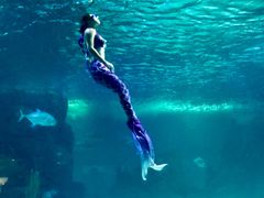 -常州海昌海洋探索馆