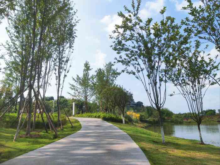 两江新区协同创新区明月湖-"位置于龙兴,现在还在维护中,还没有完全修