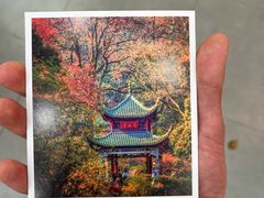 -岳麓山风景名胜区