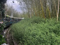 -南山风景名胜区