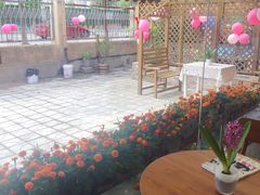 -贝贝宠物乐园(常青花园店)