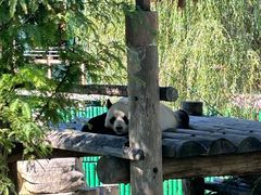 -西霞口神雕山野生动物世界