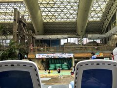 -杭州开元森泊度假乐园