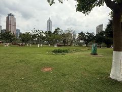 -万绿园