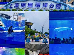 -上海海昌海洋公园