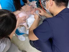 -美联众合动物医院·24h转诊中心