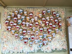 -柴犬高等学院·狗咖·柴犬售卖·宠物训练