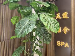 -康道天地(达邦协作广场店)