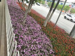 -沈阳奥林匹克体育中心