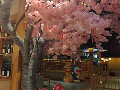-大江户·温泉洗浴(浑南店)