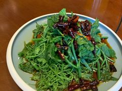 椒汁丝瓜尖-香浙汇(望京店)