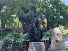 -大槐树寻根祭祖园
