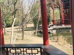 -武汉园博园(武汉自然博物馆)