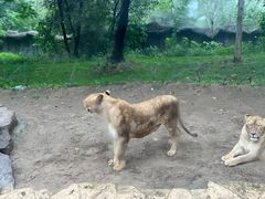 -北京野生动物园