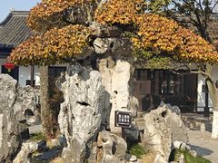 -水绘园