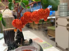 -奔跑吧陕菜·盛世长安(民乐园万达店)