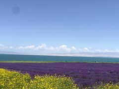 -青海湖国家重点风景名胜区