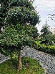 -青岛妇女儿童医院(辽阳西路院区)