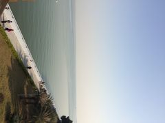iphone_upload_pic-大湾区中央湿地公园
