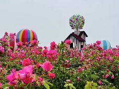 -东方绿舟景区