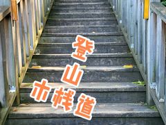 -帽儿山国家森林公园