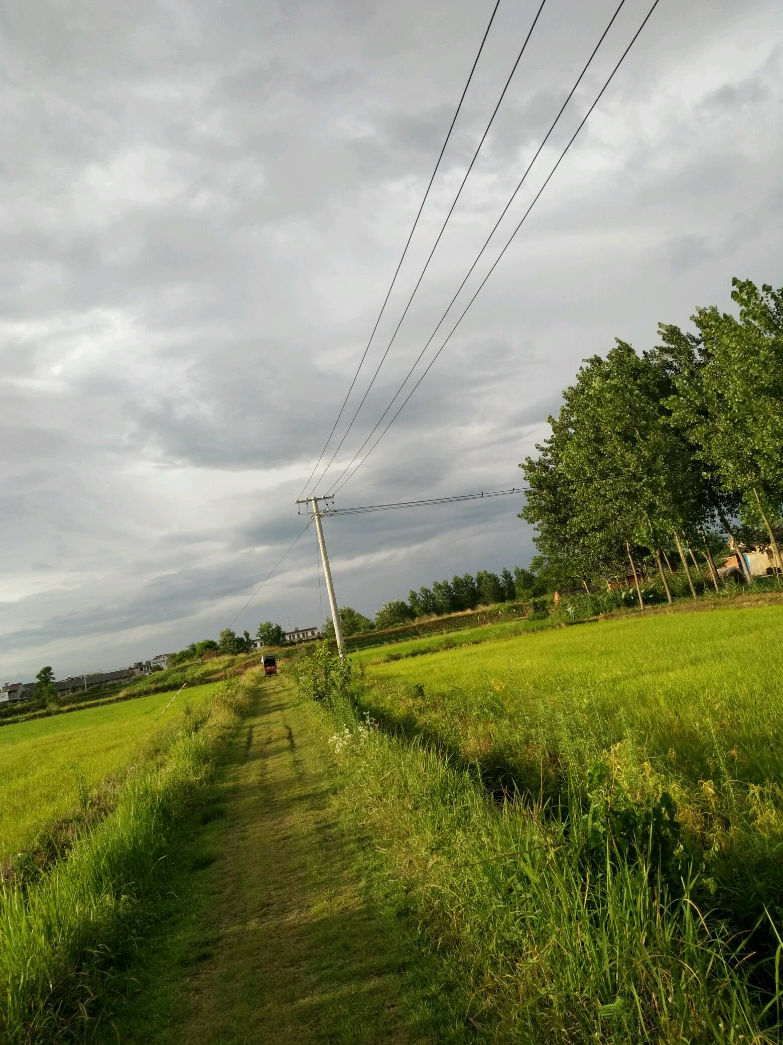 南方乡村风景图片图片