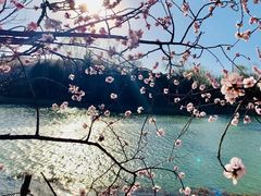 -旺顺阁海鲜广场(亚运村店)
