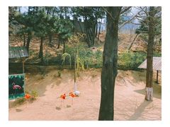 -西霞口神雕山野生动物世界