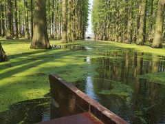 -渌洋湖湿地公园