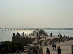 -宝安西湾红树林湿地公园