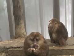 -太阳湾风景区