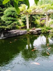 -长沙小顽国景区