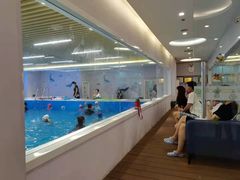 -水贝乐国际水育儿童游泳中心(新业广场店)