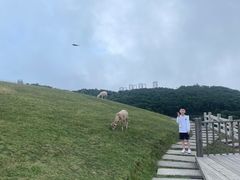 -安吉龙王山峡谷漂流