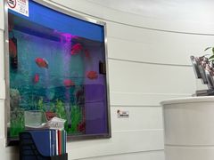 -雅悦齿科(顾村公园店)