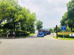 -艾溪湖湿地公园