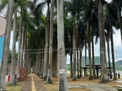 -南宁花花大世界景区