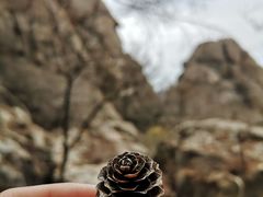 -崂山巨峰游览区