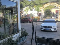 -Sultan pakistan苏单巴基斯坦