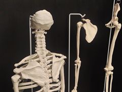 -TOP健身私教工作室(侨香店)
