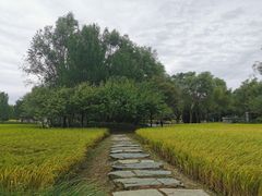 -北坞公园