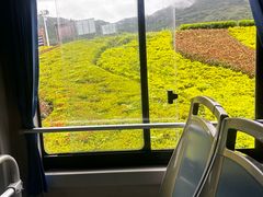 -呀诺达热带雨林
