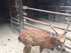 -呀路古热带植物园