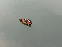 -杭州湖滨in77