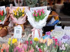 -循礼门鲜花花市(武汉循礼门店)