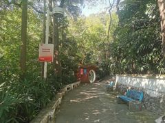 -中山公园(石岐街道)