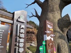 -梅岭月亮湾山体公园