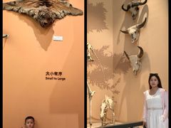 -1868 Café(上海自然博物馆店)