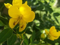 -白鹭湾湿地公园