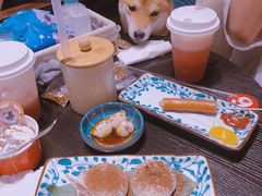 -逗柴咖啡屋·狗咖猫咖宠物桌游
